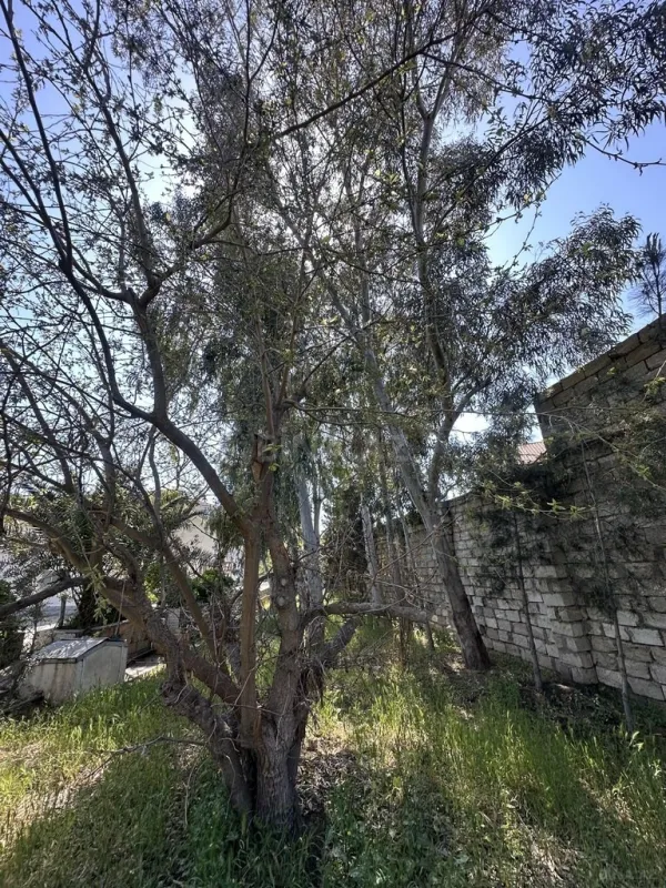 Satılır torpaq sahəsi 11 m²