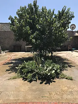 Kirayə verilir 2 otaqlı həyət evi 55 m²