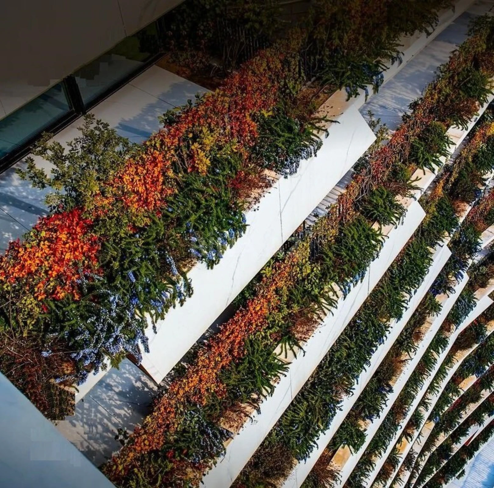 Satılır 5 otaqlı mənzil 288.8 m²