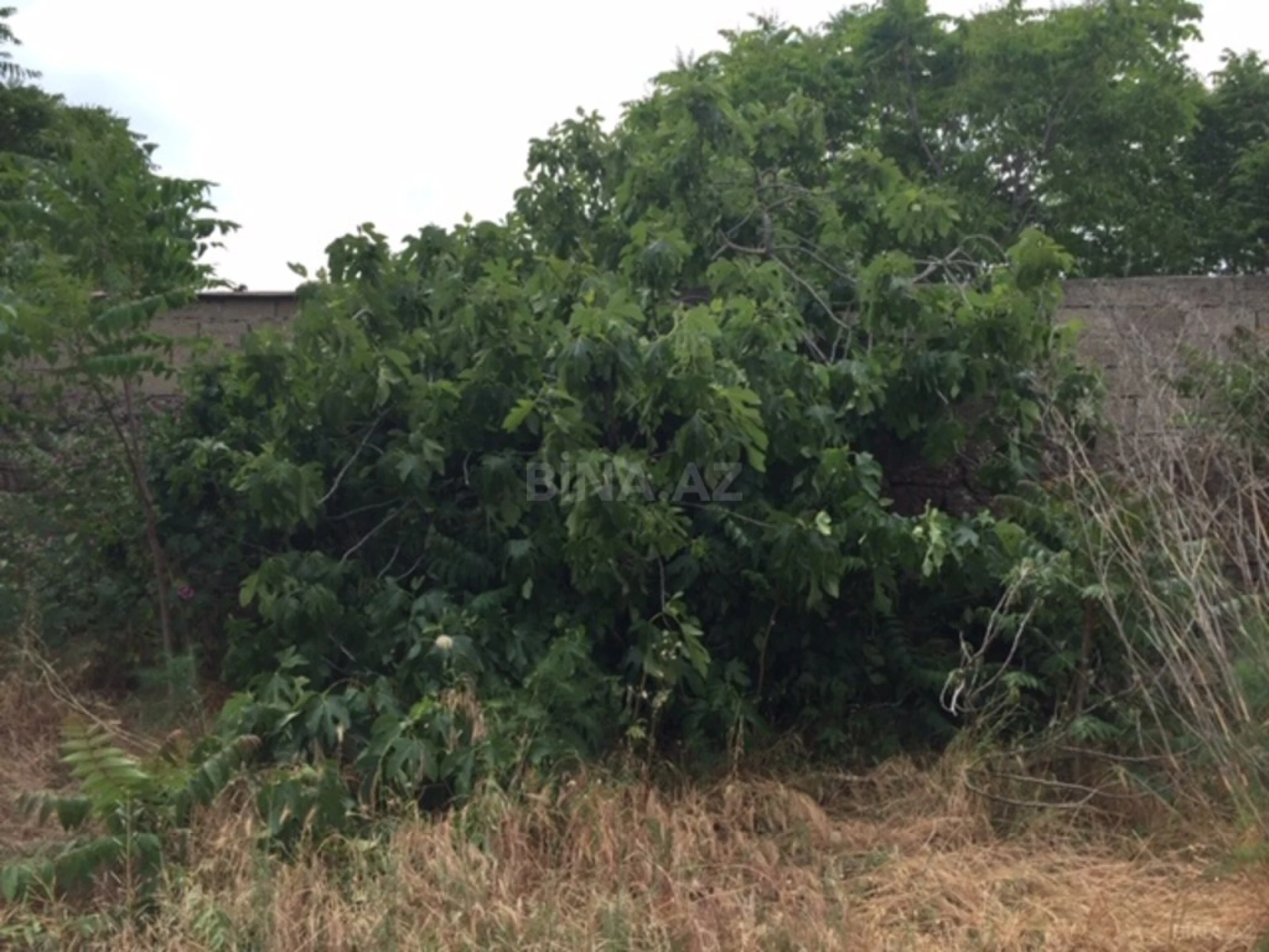 Satılır torpaq sahəsi 30 m²