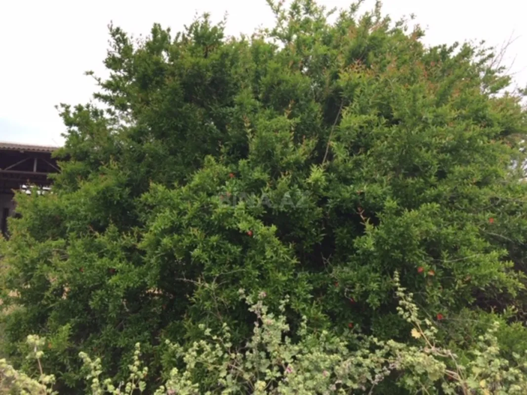 Satılır torpaq sahəsi 30 m²