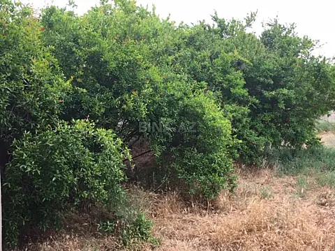 Satılır torpaq sahəsi 30 m²