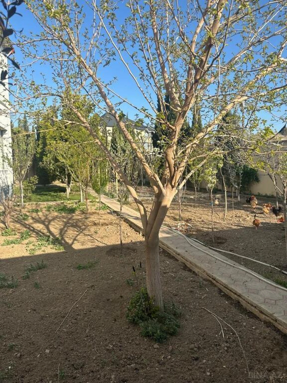 Satılır 8 otaqlı həyət evi 400 m²