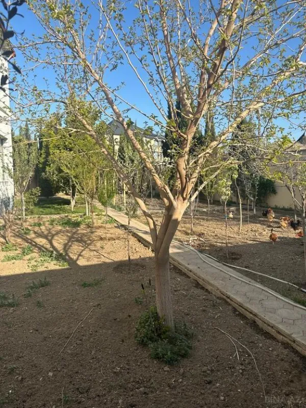 Satılır 8 otaqlı həyət evi 400 m²