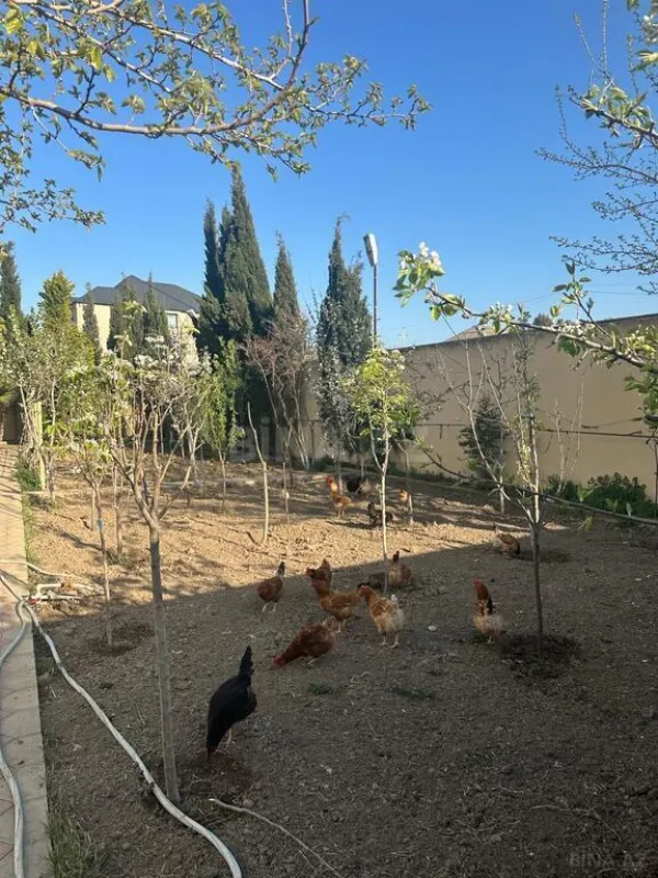 Satılır 8 otaqlı həyət evi 400 m²