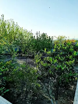 Satılır 6 otaqlı həyət evi 120 m²