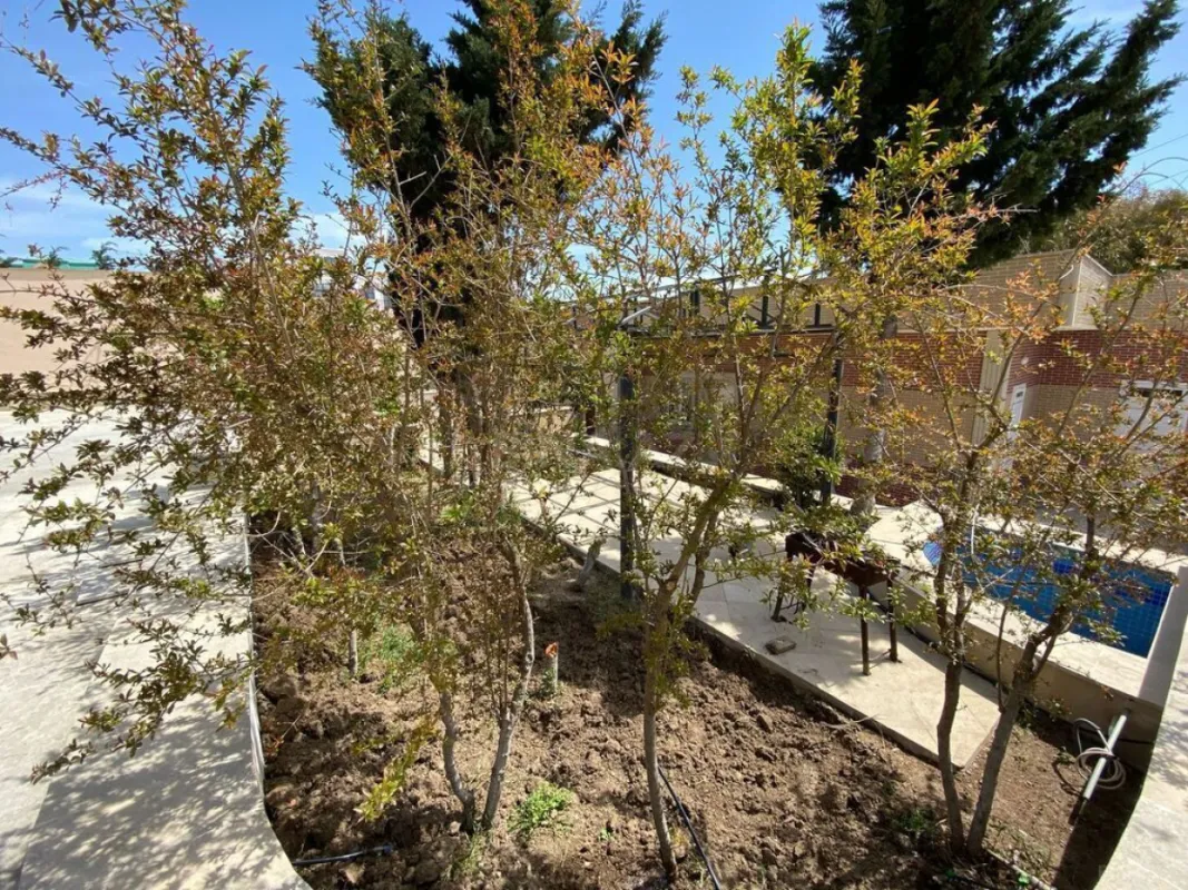 Satılır 6 otaqlı həyət evi 650 m²