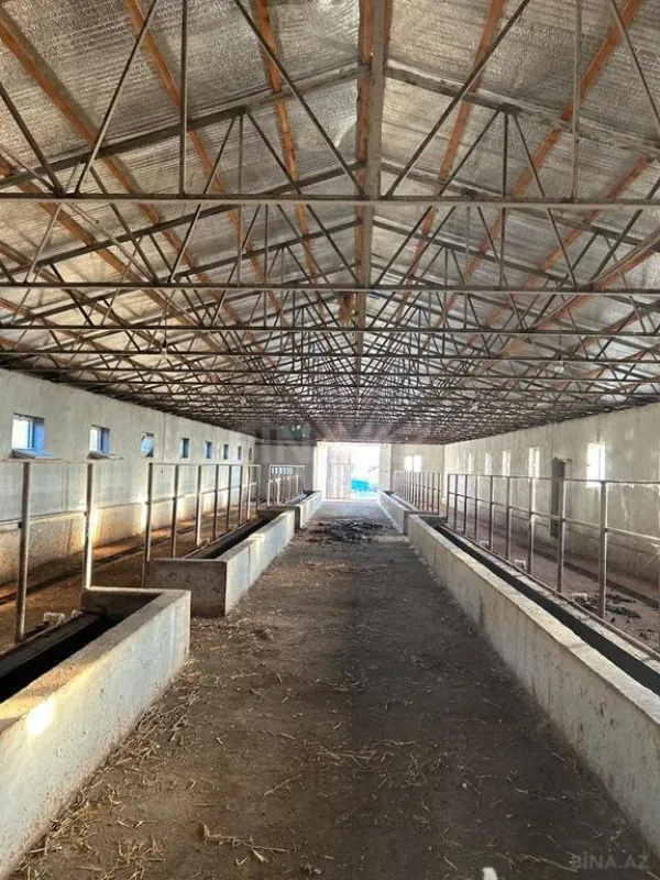 Satılır obyekt 31200 m²