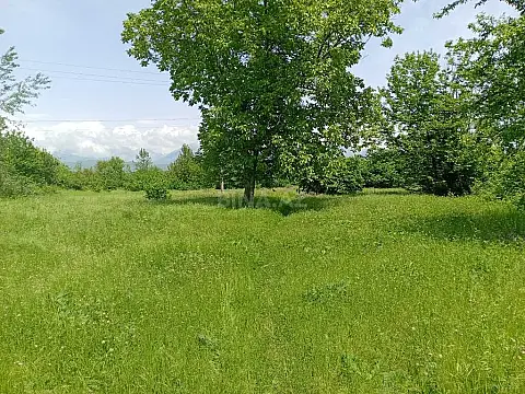 Satılır torpaq sahəsi 50 m²