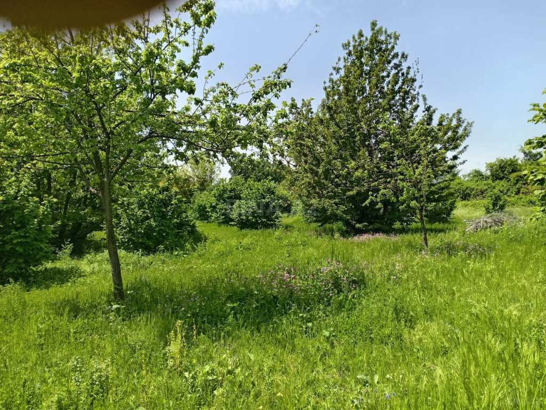 Satılır torpaq sahəsi 50 m²