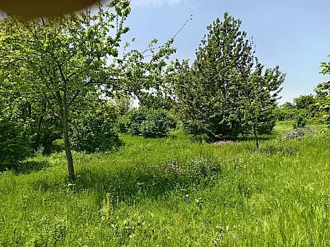 Satılır torpaq sahəsi 50 m²