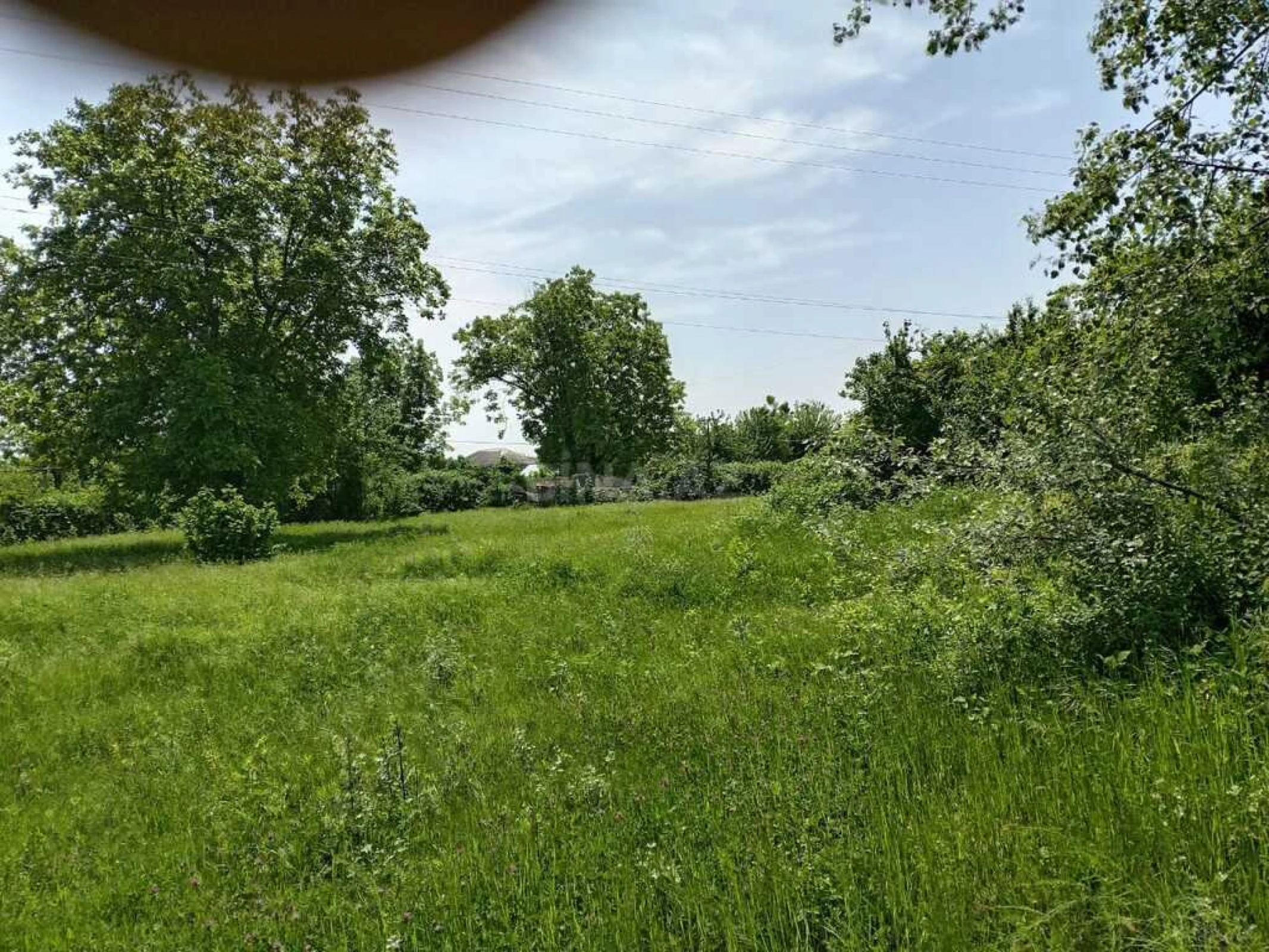 Satılır torpaq sahəsi 50 m²