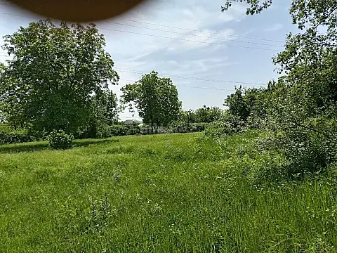 Satılır torpaq sahəsi 50 m²