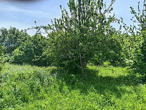 Satılır torpaq sahəsi 50 m²