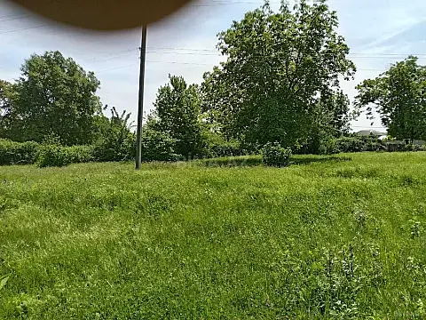 Satılır torpaq sahəsi 50 m² — Qəbələ 50.00 m²