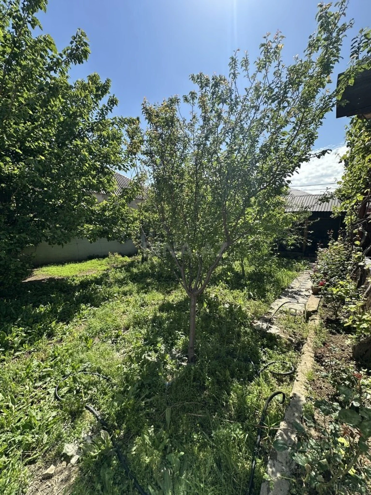 Satılır 7 otaqlı həyət evi 200 m²