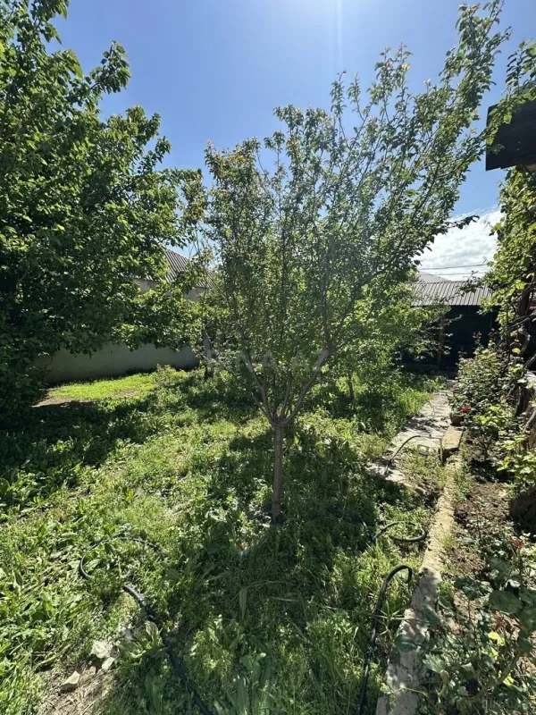 Satılır 7 otaqlı həyət evi 200 m²