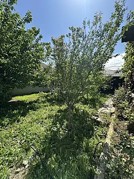 Satılır 7 otaqlı həyət evi 200 m²