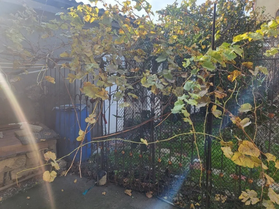 Satılır 4 otaqlı həyət evi 113 m²