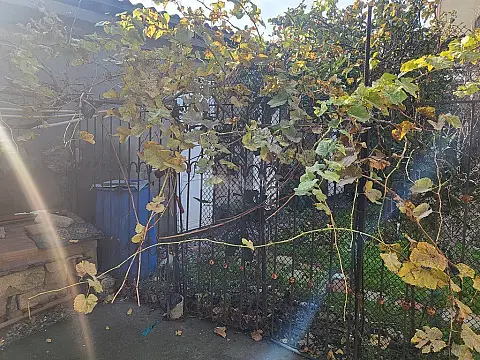 Satılır 4 otaqlı həyət evi 113 m²