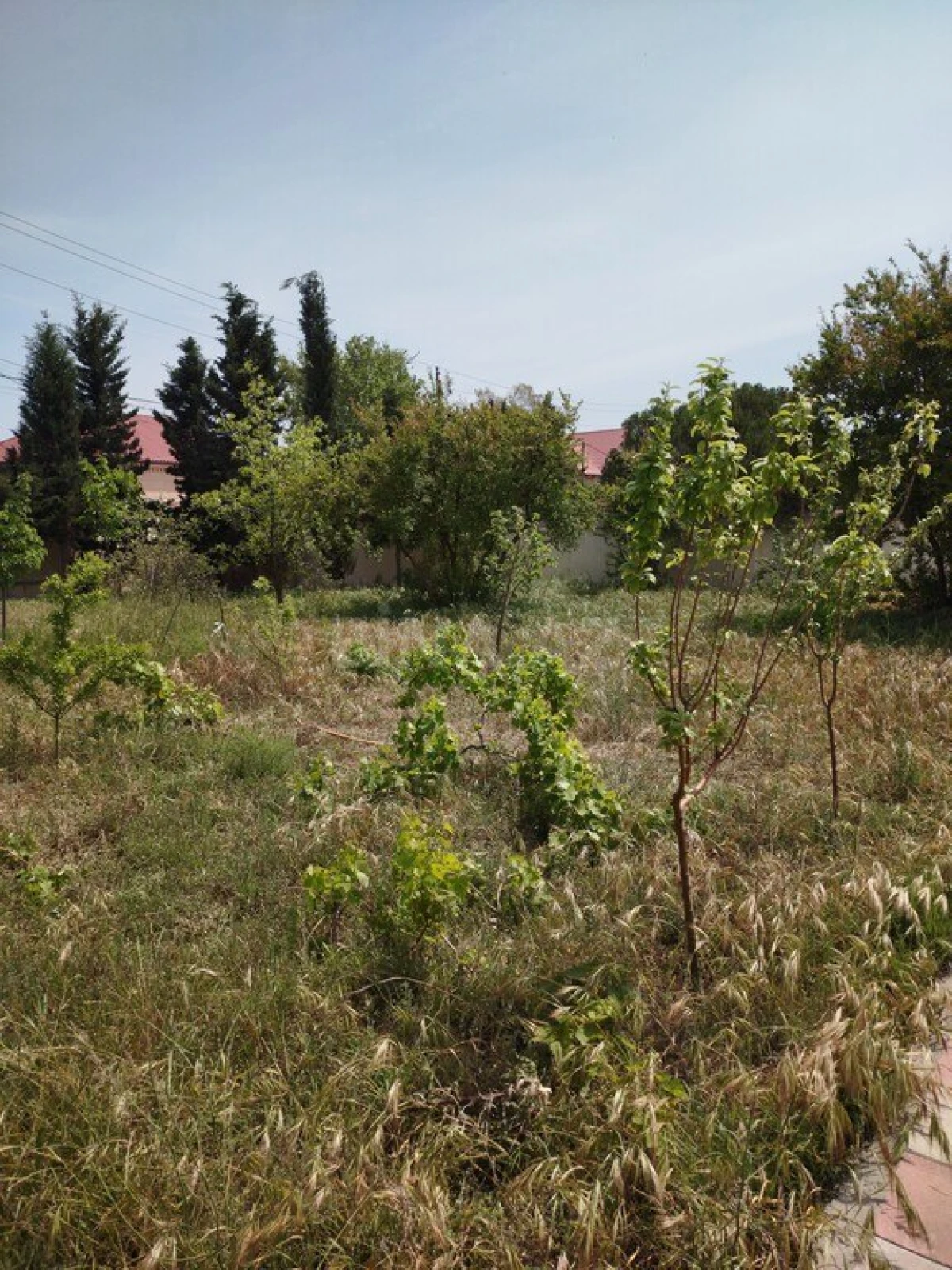 Satılır 6 otaqlı həyət evi 240 m²