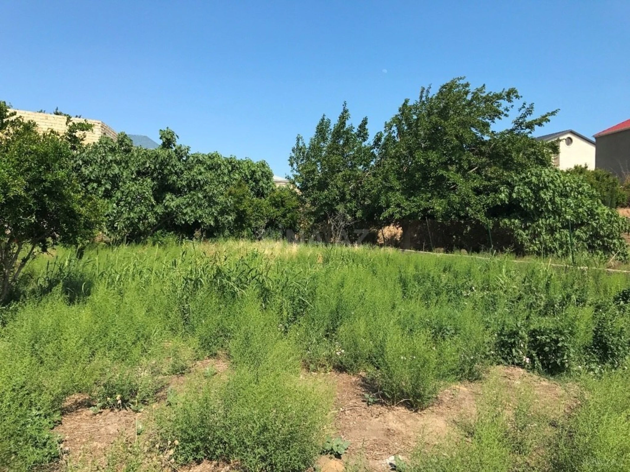 Satılır torpaq sahəsi 11 m²