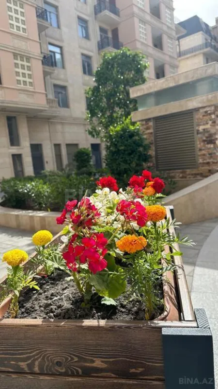 Satılır 4 otaqlı mənzil 209 m²