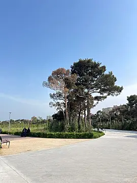 Satılır 4 otaqlı mənzil 149 m²