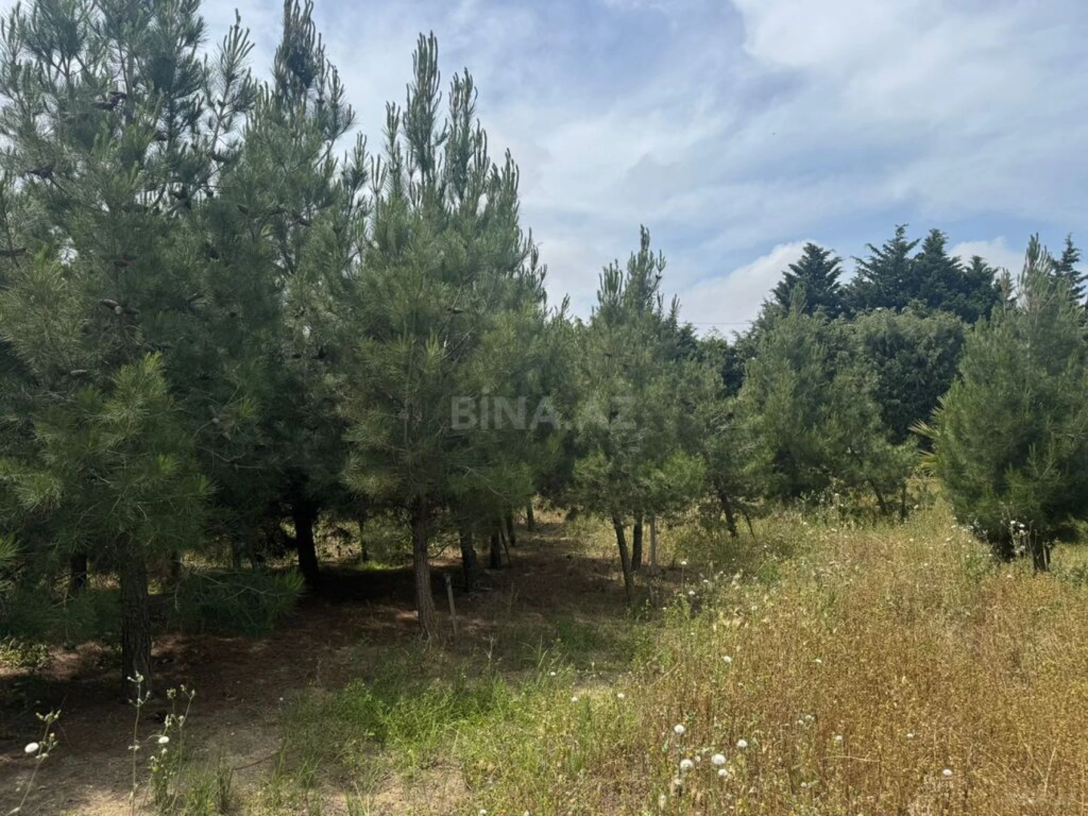 Satılır torpaq sahəsi 30 m²