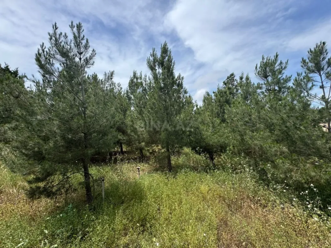 Satılır torpaq sahəsi 30 m²