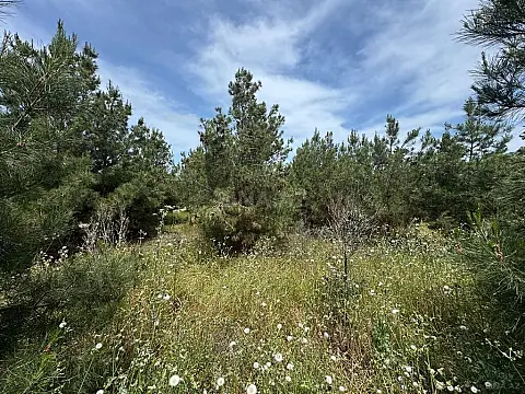 Satılır torpaq sahəsi 30 m² — Bakı, Şüvəlan 30.00 m²