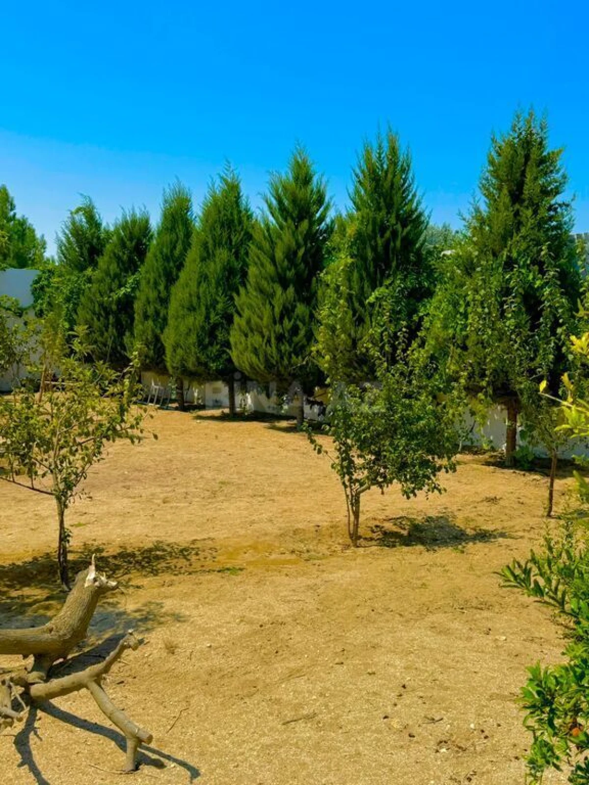 Kirayə verilir 5 otaqlı həyət evi 280 m²