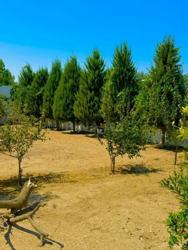 Kirayə verilir 5 otaqlı həyət evi 280 m²