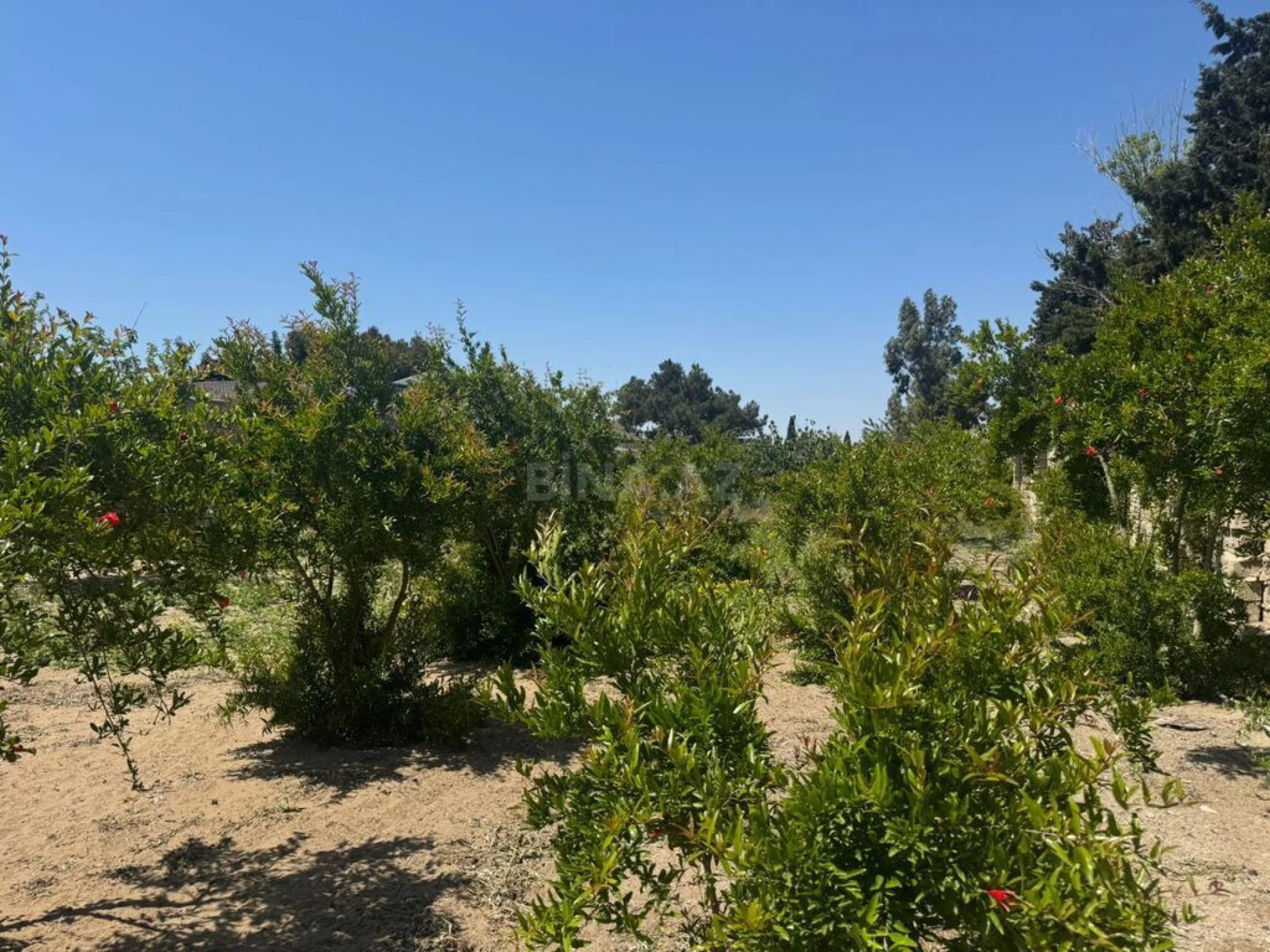 Satılır torpaq sahəsi 23 m²