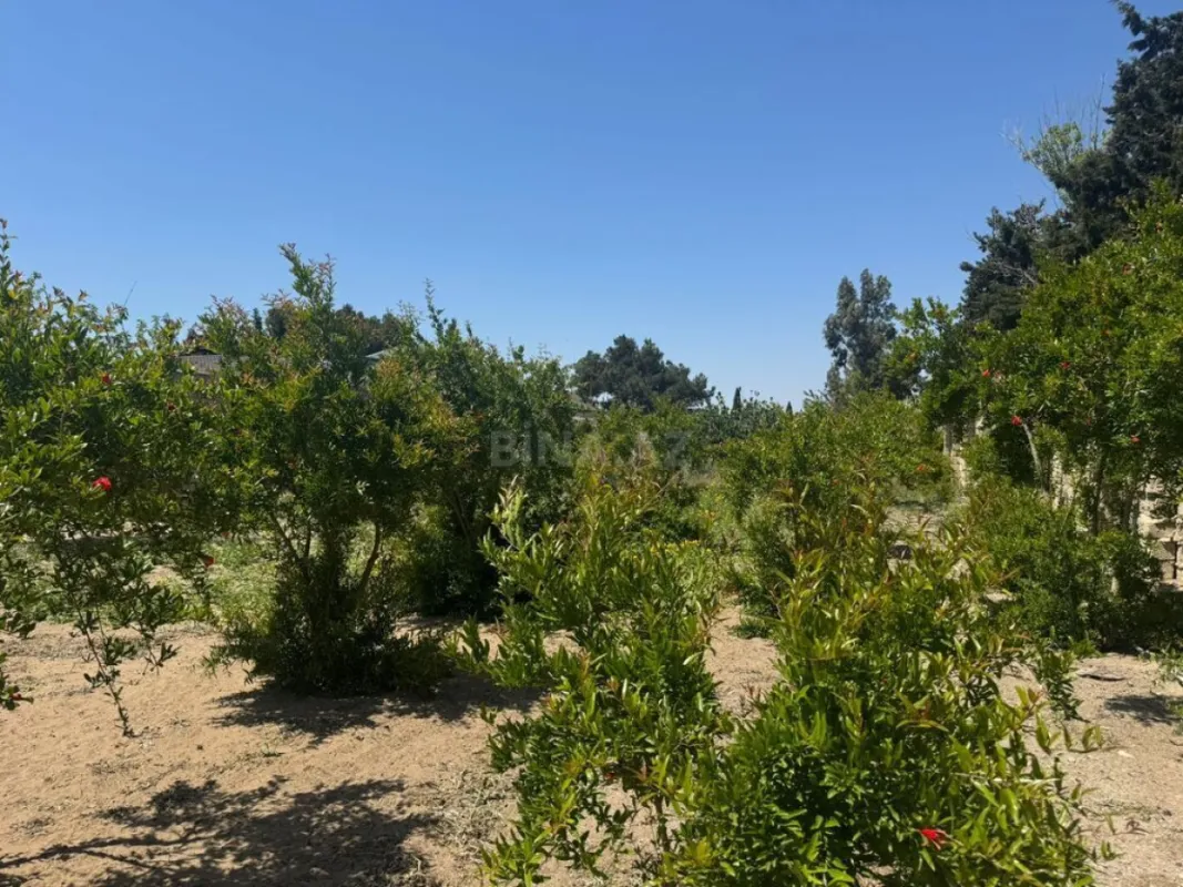 Satılır torpaq sahəsi 23 m²