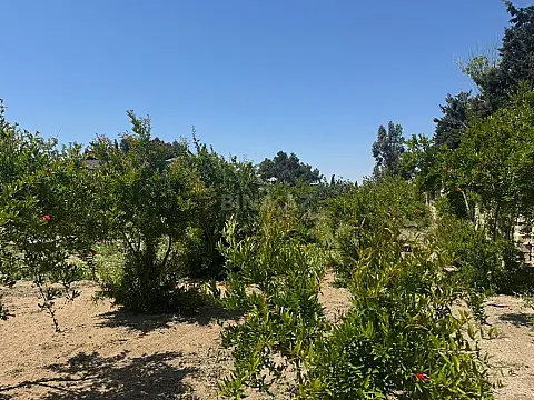 Satılır torpaq sahəsi 23 m²