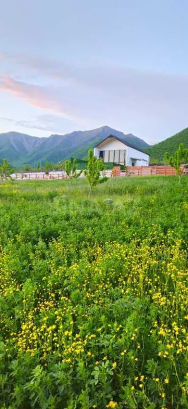 Kirayə verilir 3 otaqlı həyət evi 80 m²