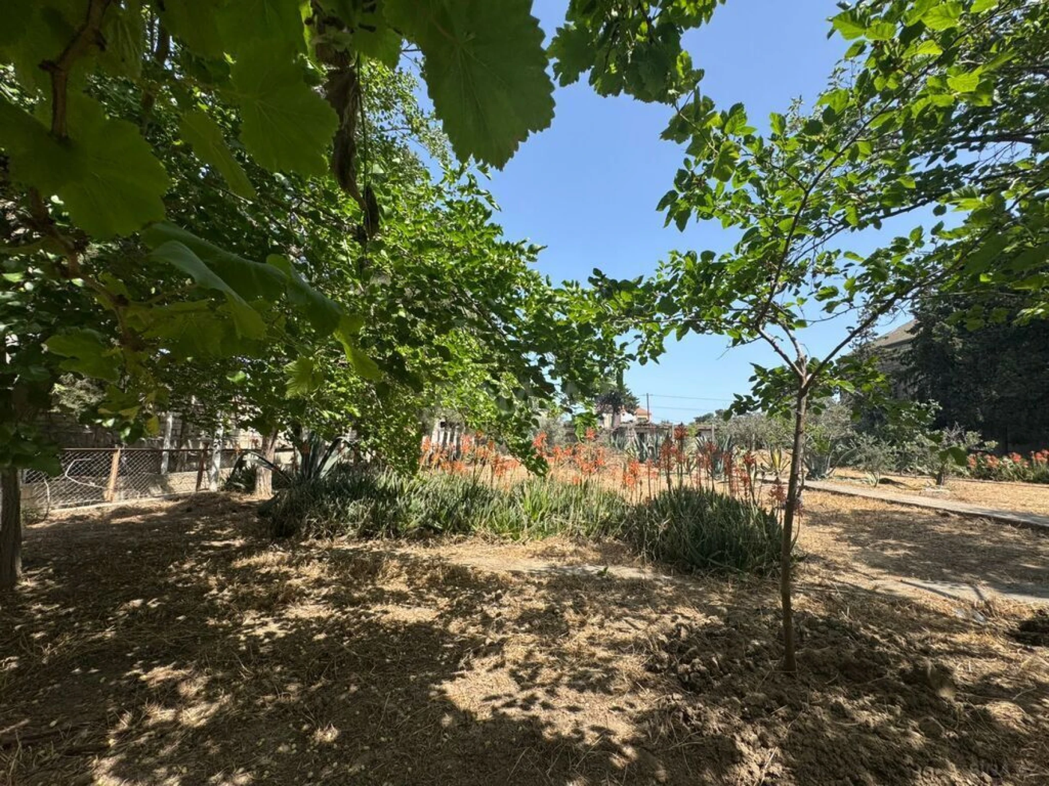 Satılır torpaq sahəsi 24 m²