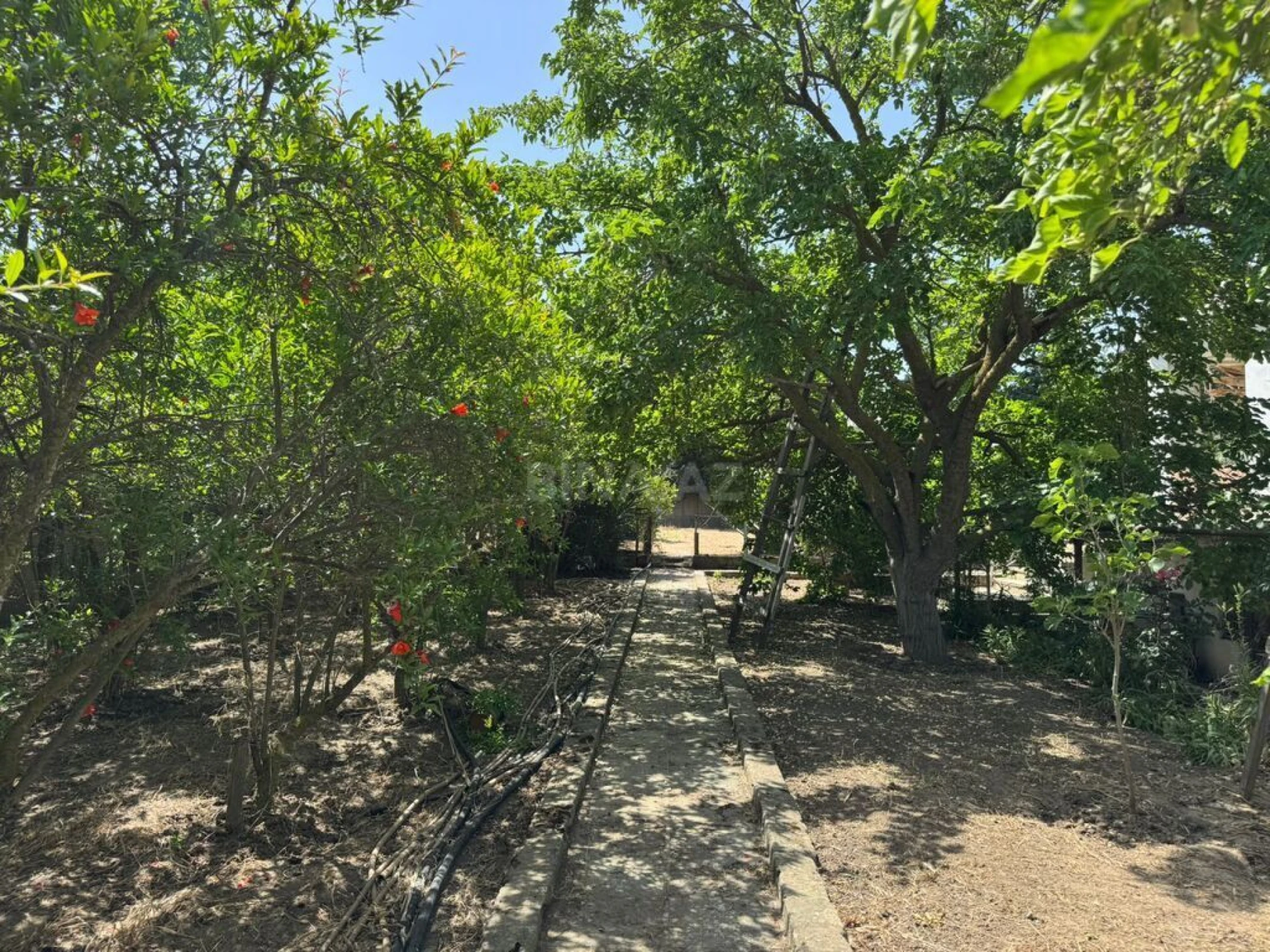 Satılır torpaq sahəsi 24 m²