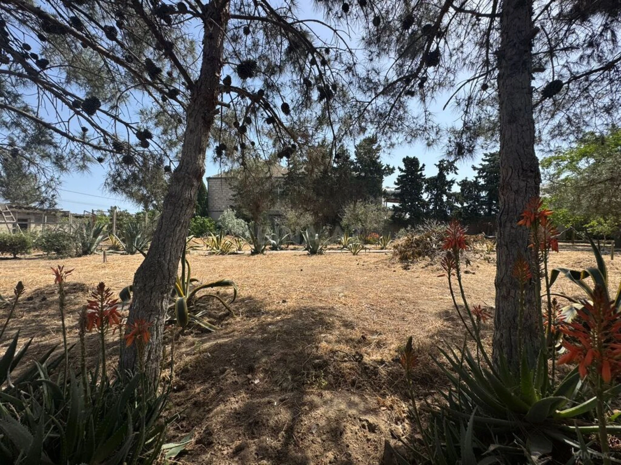 Satılır torpaq sahəsi 24 m²