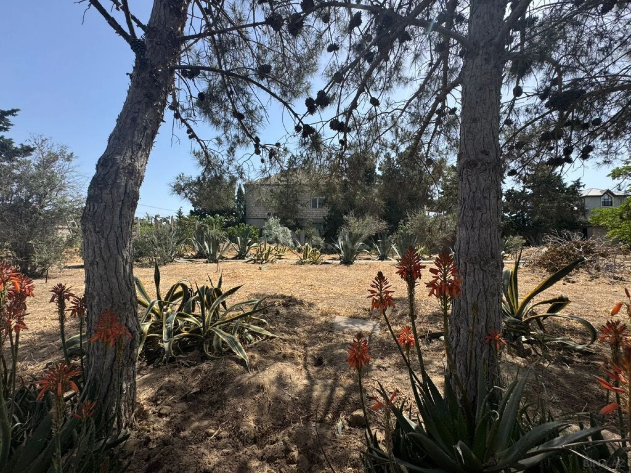 Satılır torpaq sahəsi 24 m²