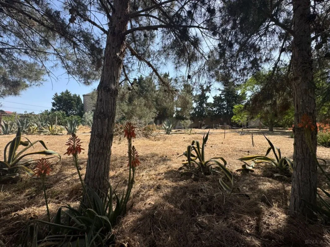 Satılır torpaq sahəsi 24 m²