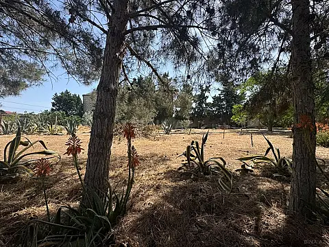 Satılır torpaq sahəsi 24 m²