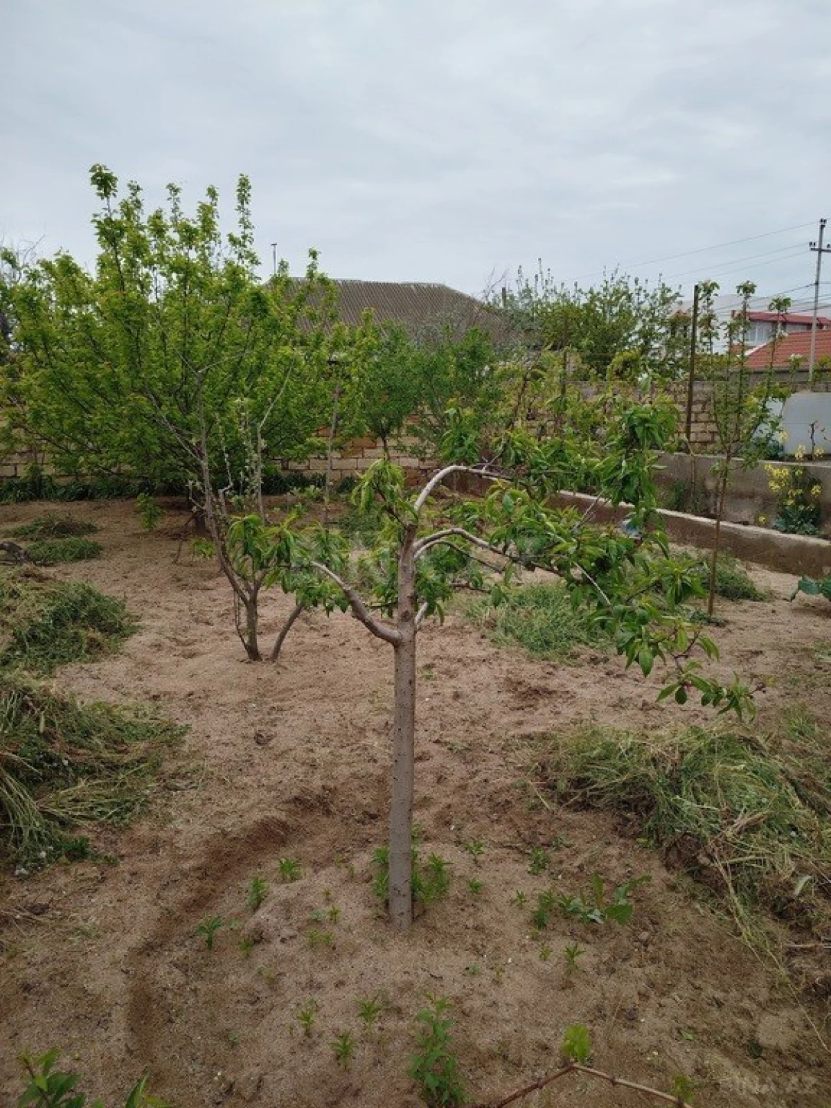 Satılır 6 otaqlı həyət evi 180 m²