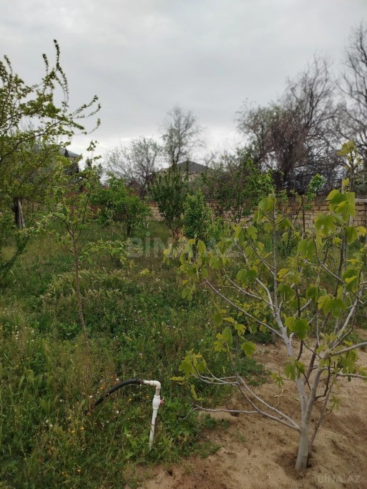 Satılır 6 otaqlı həyət evi 180 m²