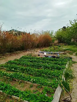 Satılır 6 otaqlı həyət evi 180 m²