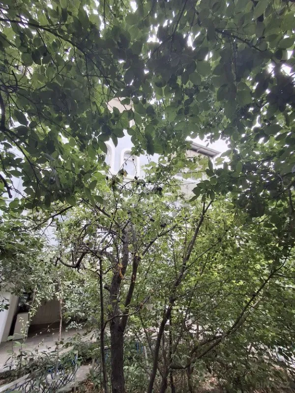 Satılır 8 otaqlı həyət evi 234 m²