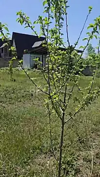 Satılır torpaq sahəsi 20 m²