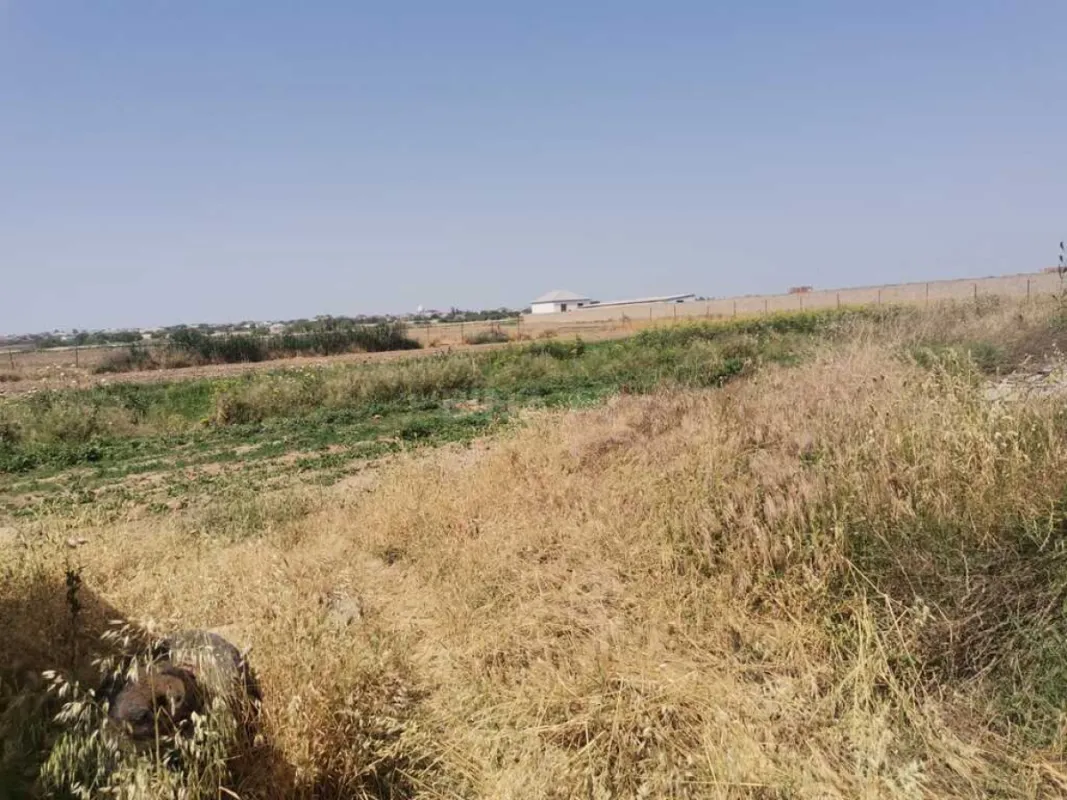 Satılır torpaq sahəsi 100 m²