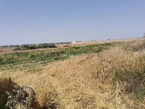 Satılır torpaq sahəsi 100 m²